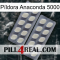 Píldora Anaconda 5000 07